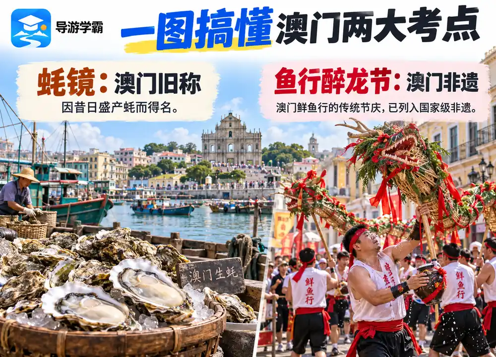 澳门旧称蚝镜与鱼行醉龙节考点图（导游学霸·科四澳门）