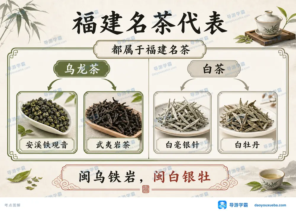 福建乌龙茶与白茶代表名茶考点图（导游学霸·科四福建）