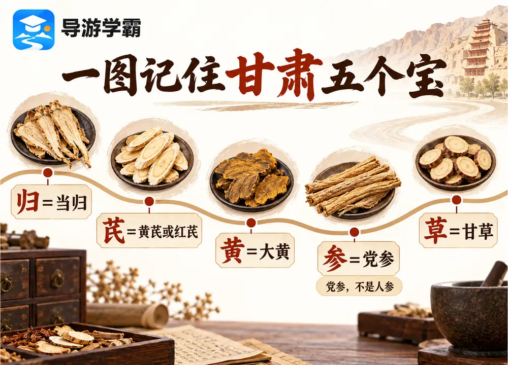 甘肃五个宝归芪黄草参党参考点图(导游学霸·科四甘肃)