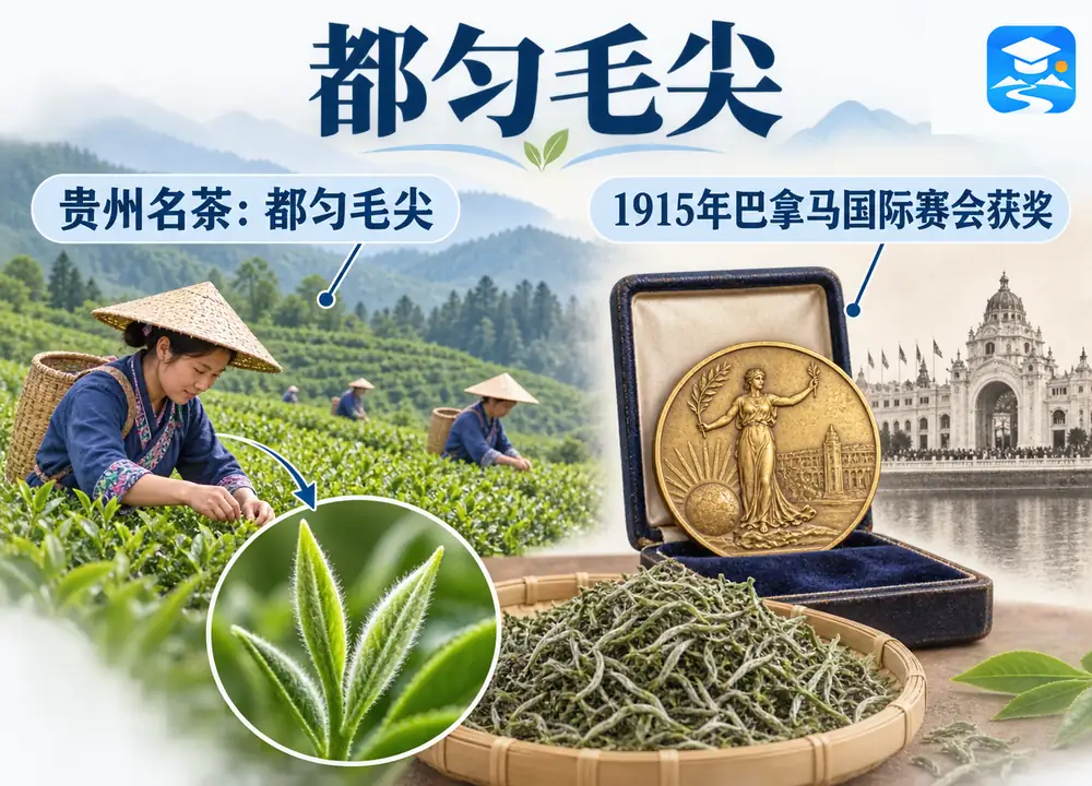 贵州名茶都匀毛尖与巴拿马金奖考点图（导游学霸·科四贵州）