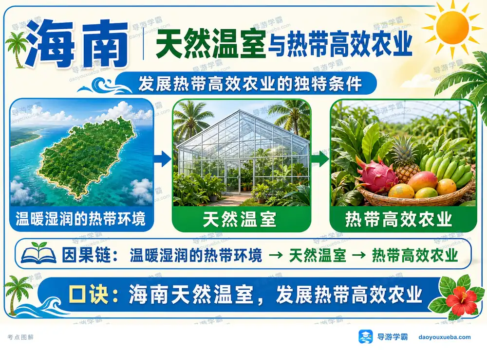 海南天然温室与热带高效农业考点图(导游学霸·科四海南)