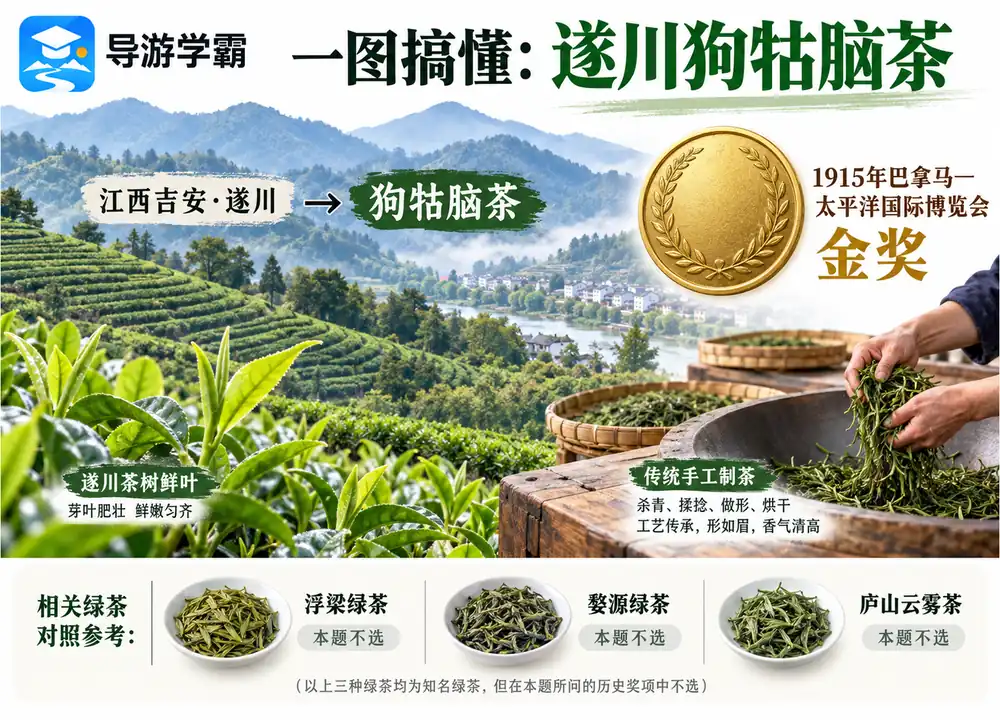 遂川狗牯脑茶1915巴拿马金奖考点图（导游学霸·科四江西）