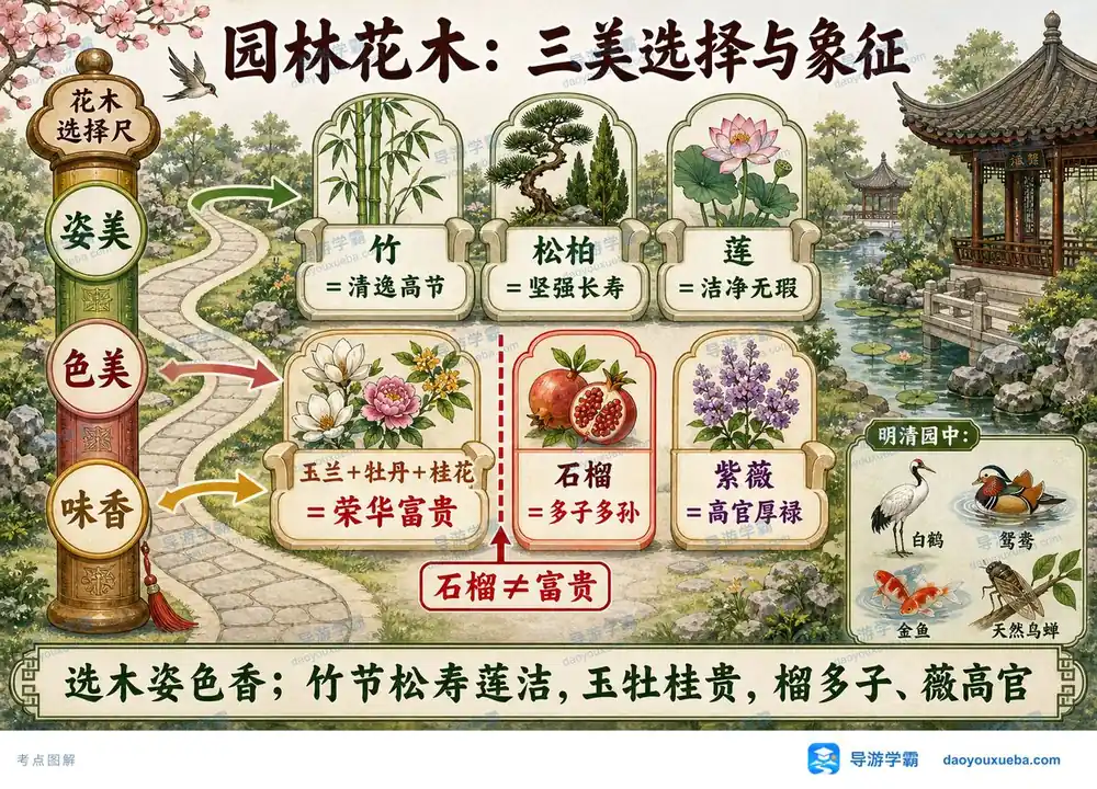 园林花木三美与象征考点图(导游学霸·科三)