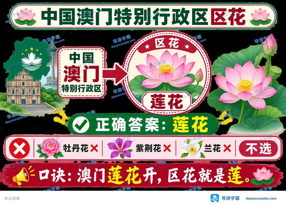 澳门特别行政区区花莲花考点图（导游学霸·科三）