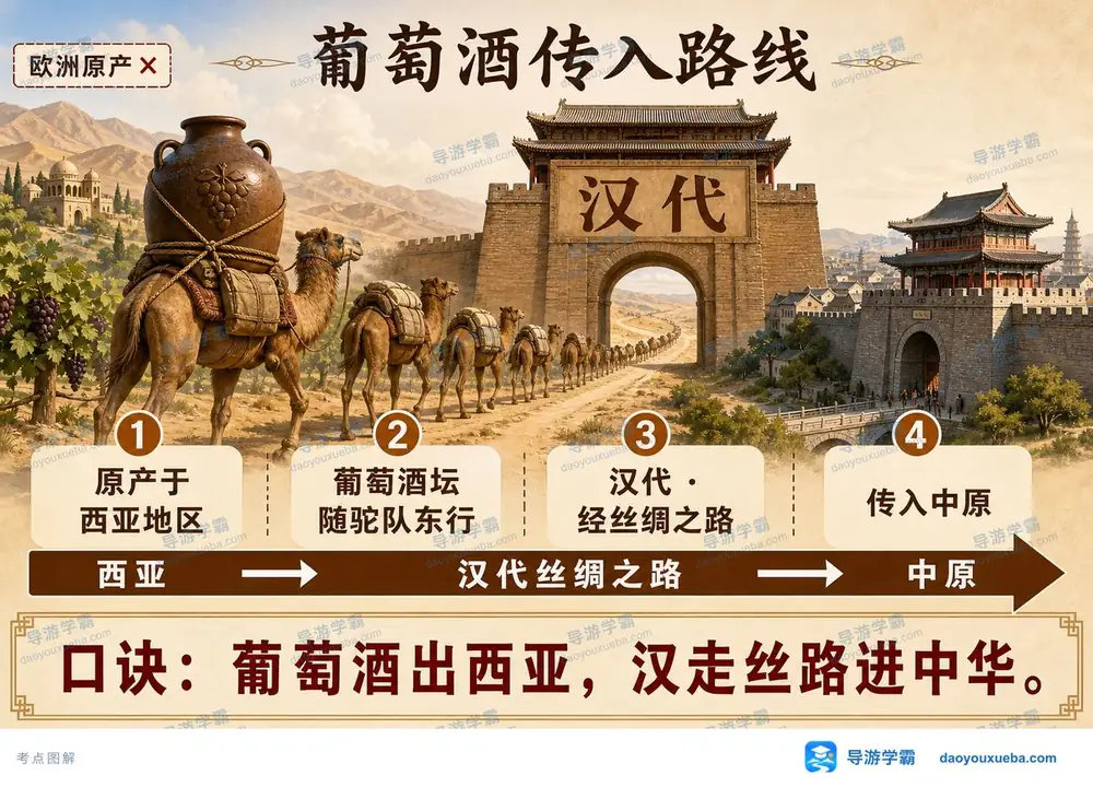 葡萄酒历史起源与传入路线考点图(导游学霸·科三)