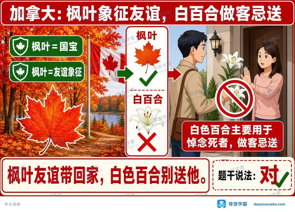 加拿大枫叶与白百合禁忌考点图(导游学霸·科三)