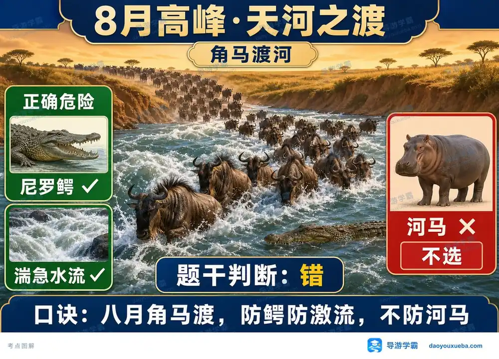 马拉河角马渡河考点一图懂考点图（导游学霸·科三）