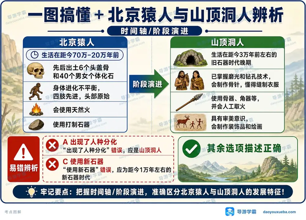北京猿人与山顶洞人对比考点图(导游学霸·科三)