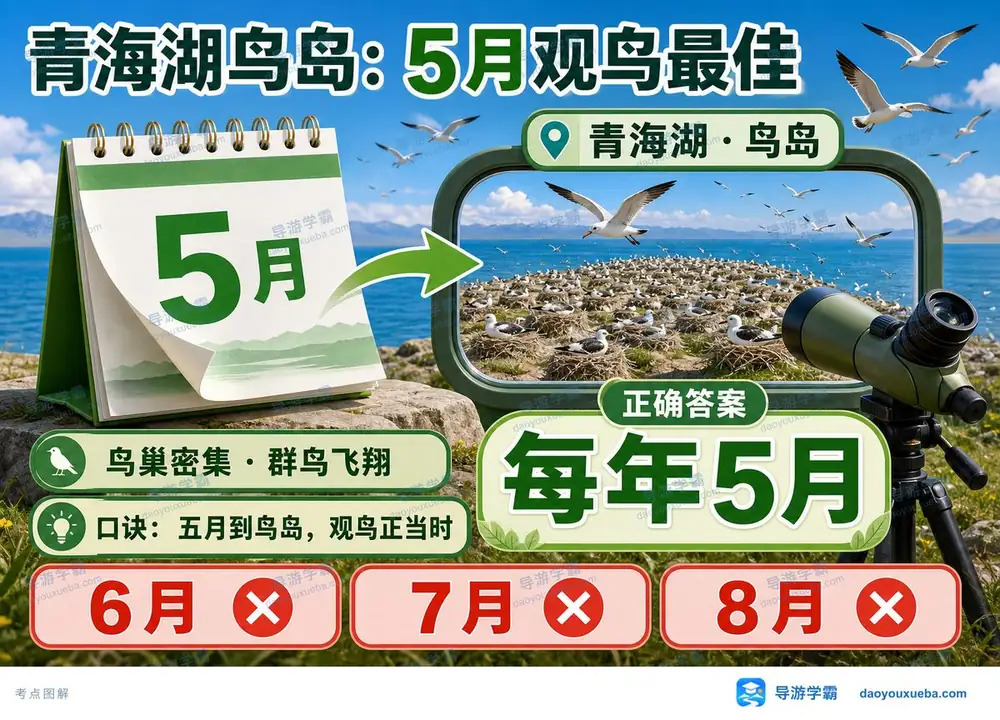 青海湖鸟岛最佳观鸟月份考点图（导游学霸·科三）