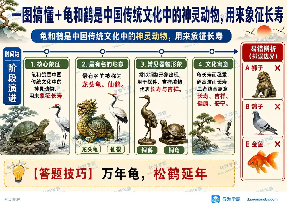 传统吉祥神灵龟与鹤考点图（导游学霸·科三）