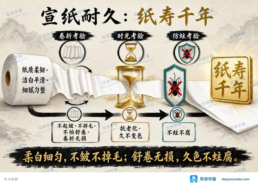 宣纸纸寿千年耐久特性考点图（导游学霸·科三）