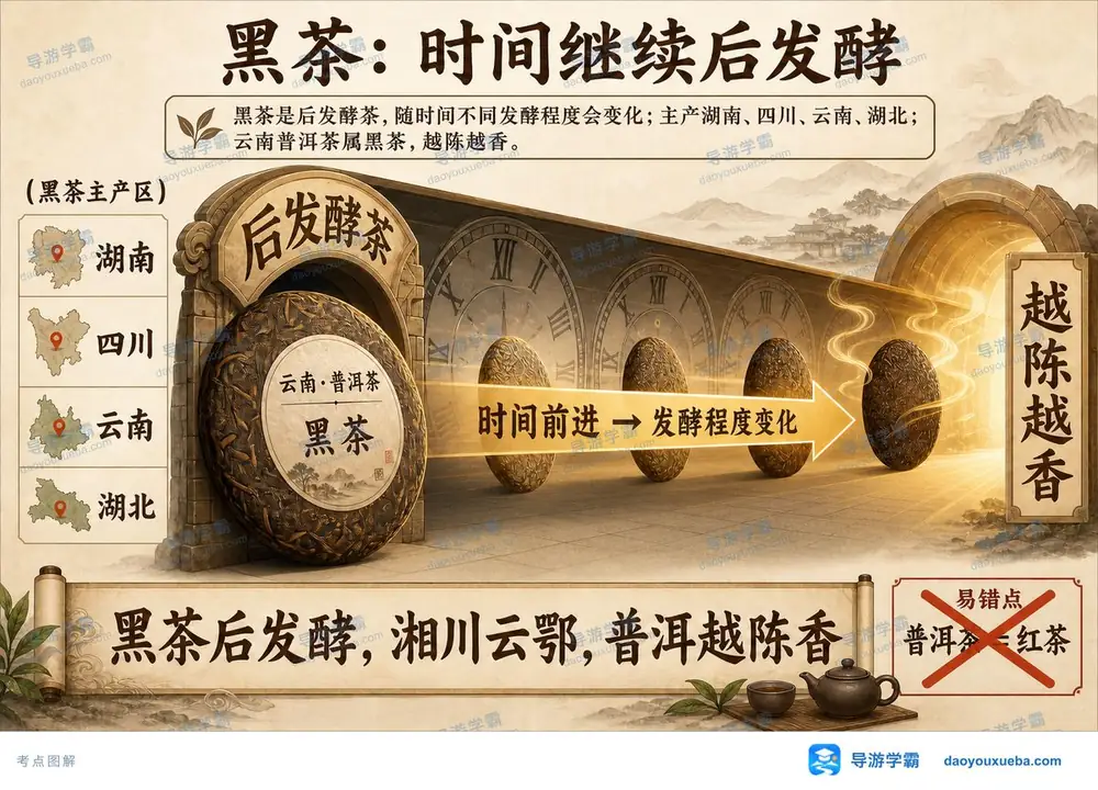 黑茶特征与产区考点图（导游学霸·科三）