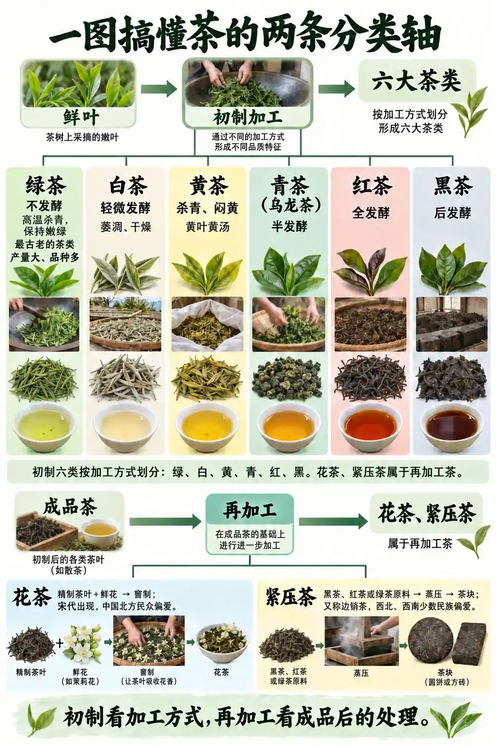 初制茶与再加工茶考点图(导游学霸·科三)