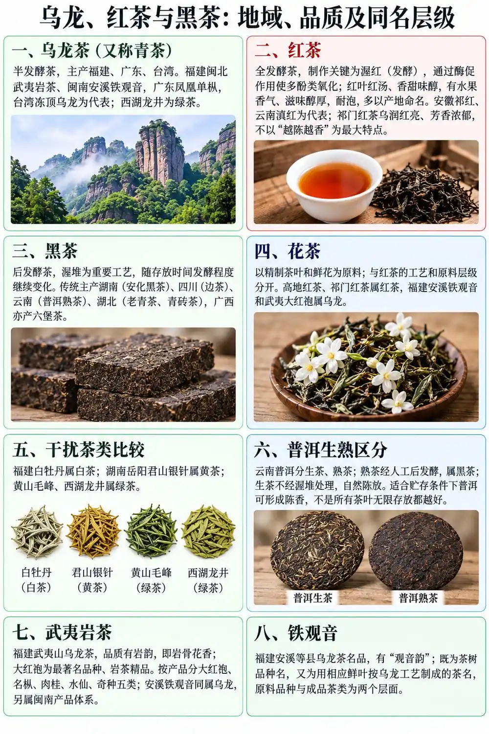 乌龙茶红茶与黑茶考点图（导游学霸·科三）