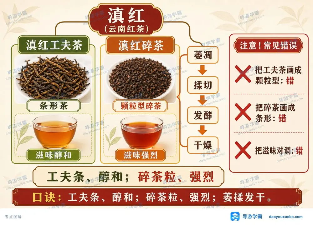 滇红工夫茶与红碎茶考点图（导游学霸·科三）