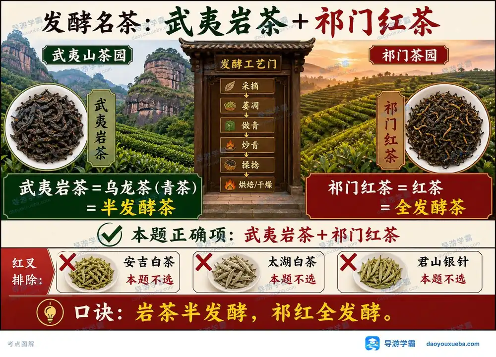发酵名茶岩茶与祁红考点图（导游学霸·科三）
