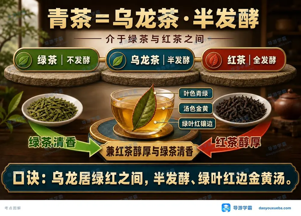 乌龙茶品质特征与发酵考点图（导游学霸·科三）