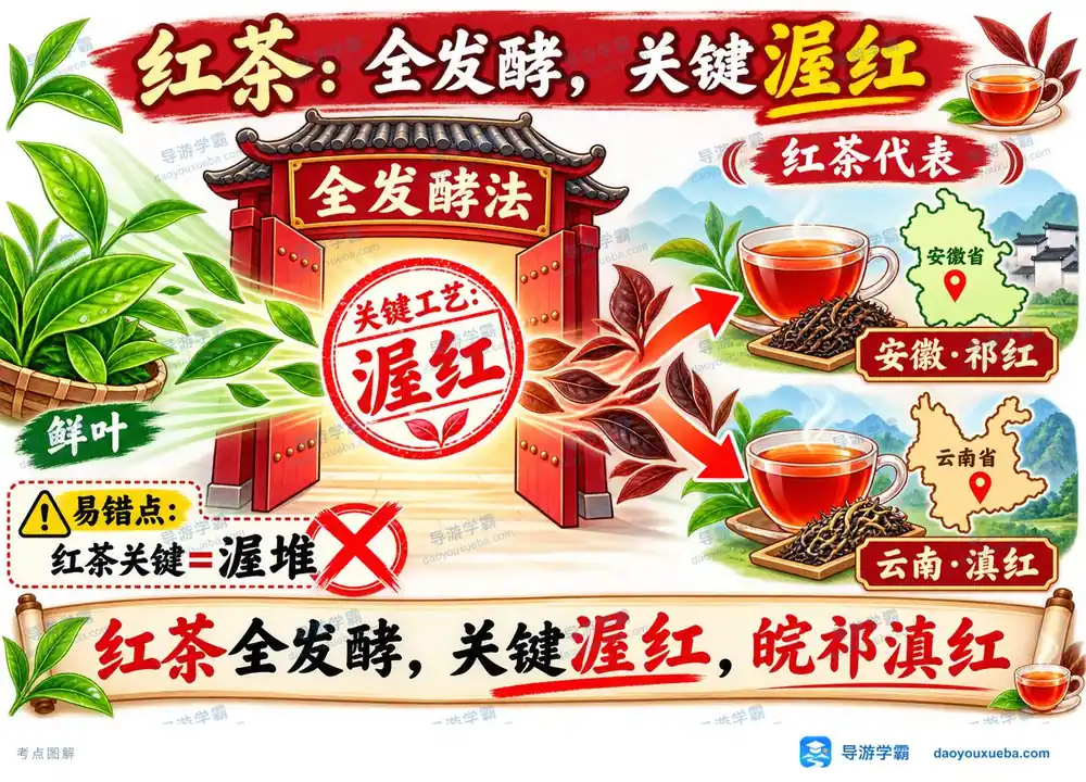 红茶全发酵工艺与代表名茶考点图（导游学霸·科三）