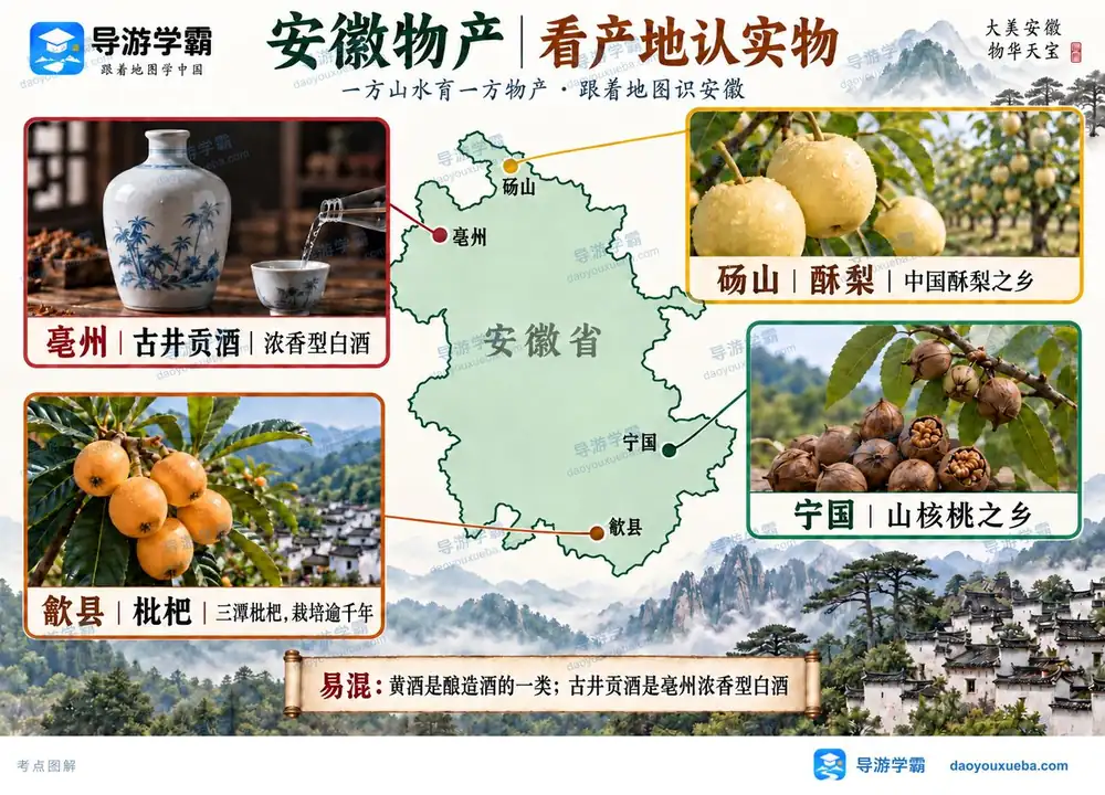 安徽四大名特产产地精准对号考点图（导游学霸·科三）