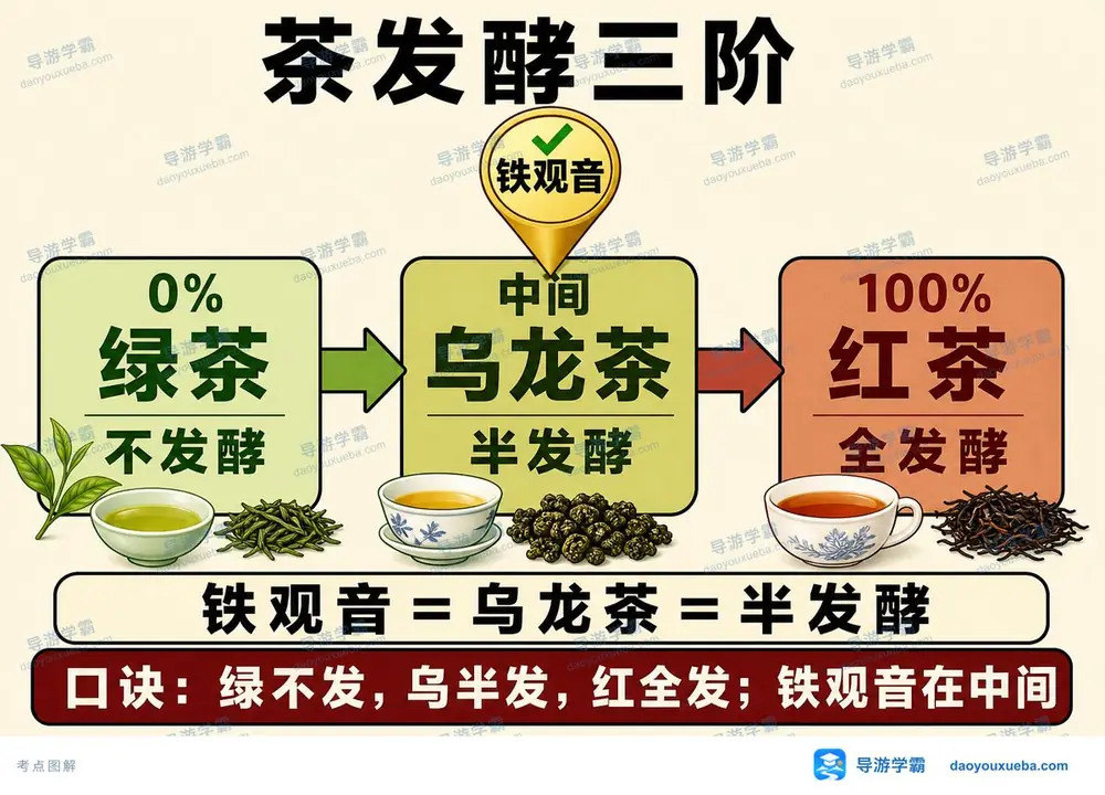 茶叶发酵三阶考点图（导游学霸·科三）