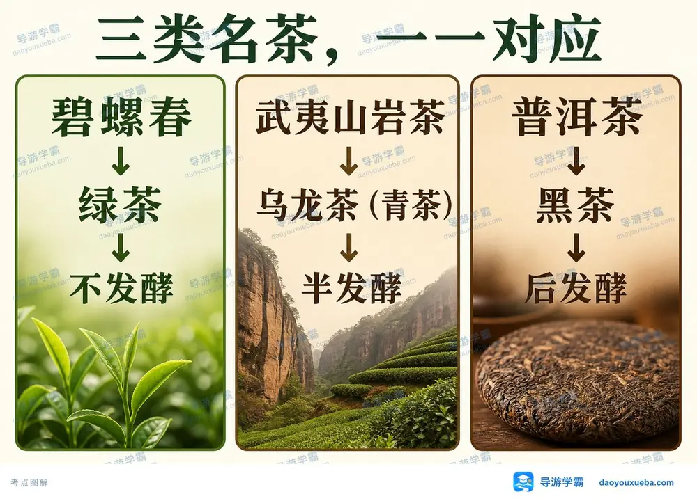 三大名茶类别与发酵度对照考点图（导游学霸·科三）