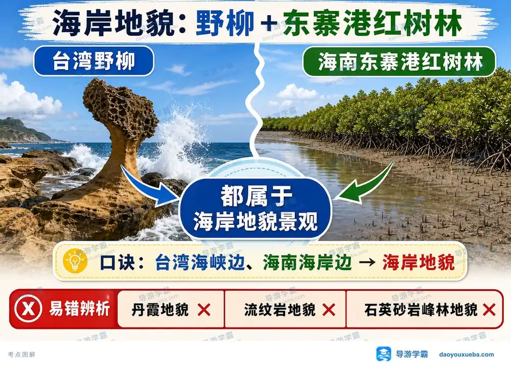台湾野柳与东寨港海岸地貌考点图（导游学霸·科三）