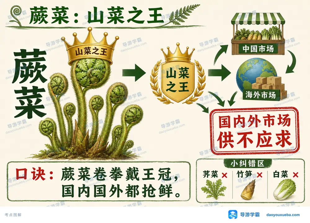 蕨菜山菜之王美誉核心考点图(导游学霸·科四地方导游基础知识)