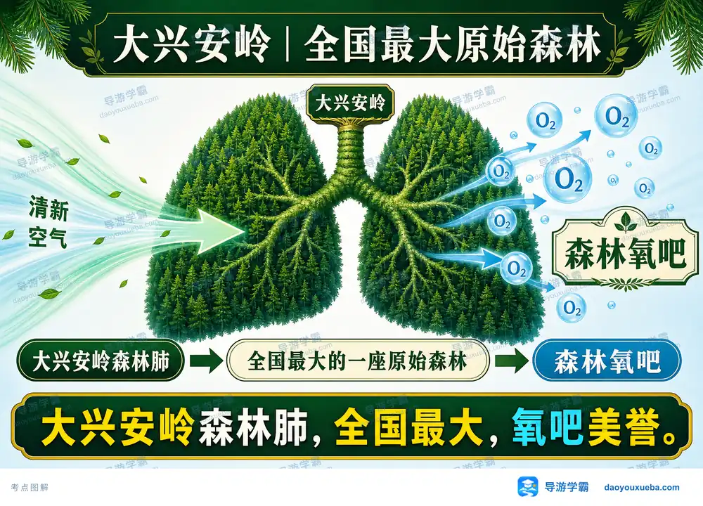 大兴安岭全国最大原始森林考点图（导游学霸·科四地方导游基础知识）