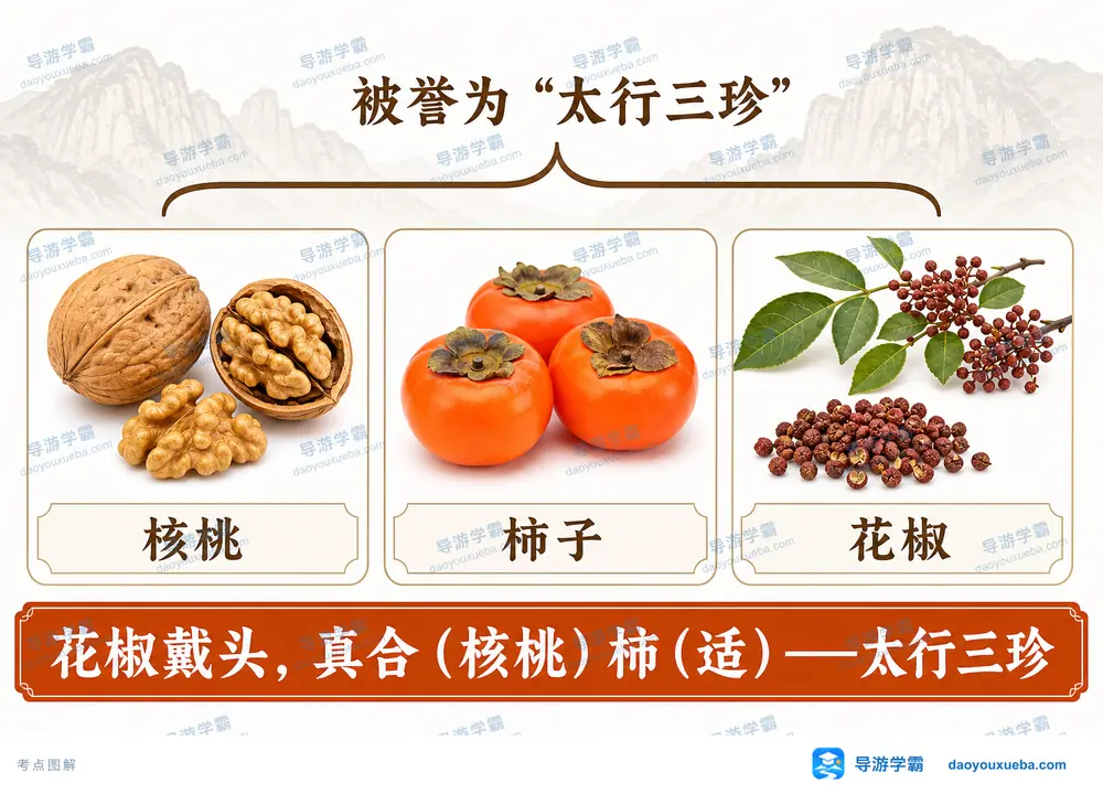 太行三珍核桃柿子花椒考点图（导游学霸·科四地方导游基础知识）