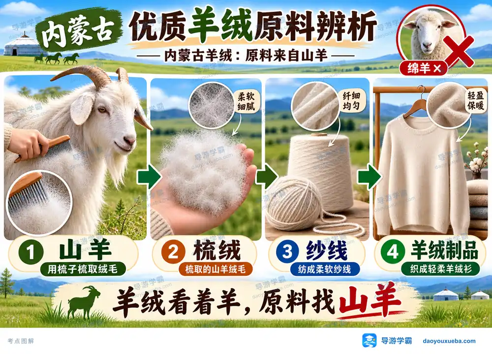 内蒙古优质羊绒原料来源考点图（导游学霸·科四内蒙古）